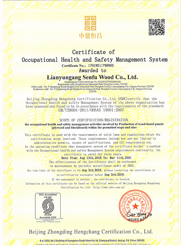 職業(yè)健康安全管理體系認(rèn)證證書(英文) 職業(yè)健康安全管理體系認(rèn)證證書(英文)